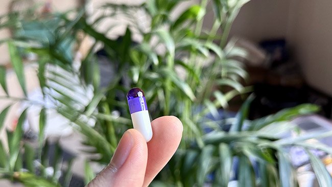 hard gelatin capsules