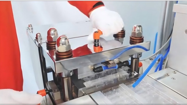 Modular mold changeover for blister packaging machine